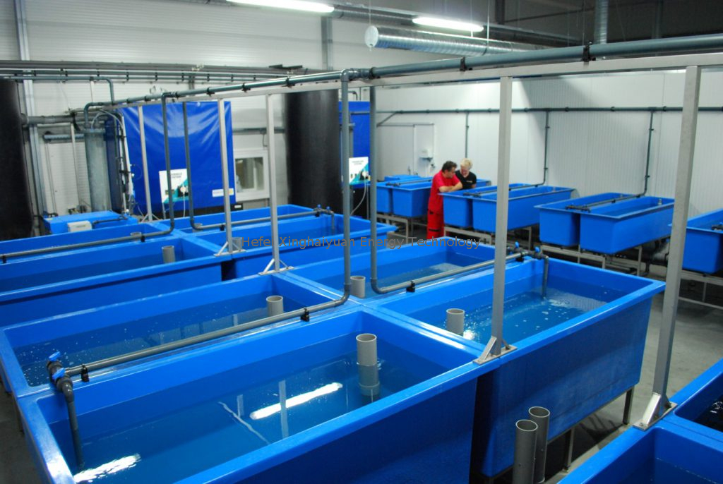 FRP Breeding Fish Tank