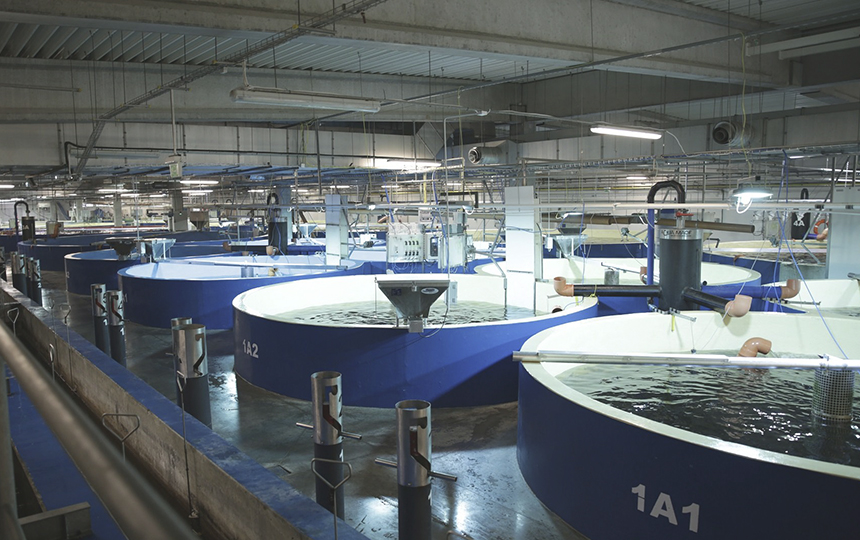 6. Paggamot ng tubig sa Fiberglass