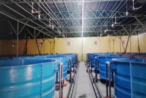 Fiberglass water treatment tank.