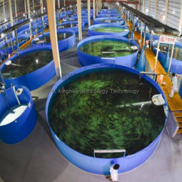 Fiberglass fish tank breeding fish tank