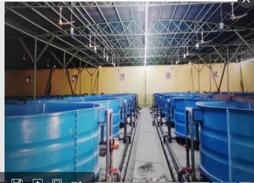 Fiberglass aquaculture pond fish breeding tank